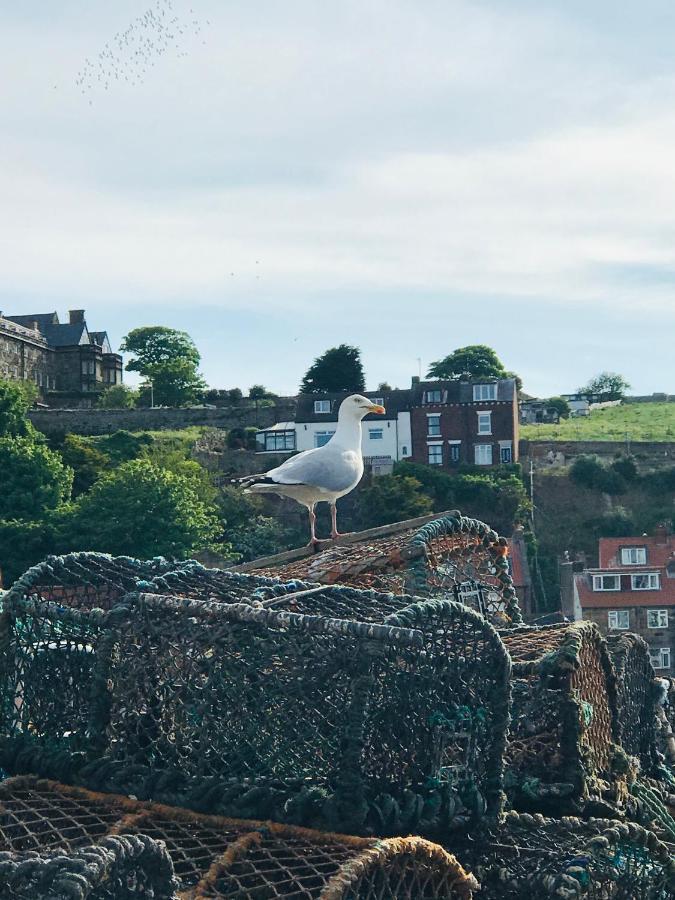 Low Tide Whitby Exterior photo